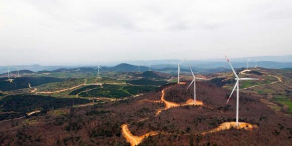 Tatlıpınar Enerji, Ağaoğlu Yenilenebilir Enerji Yatırım Holding paylarını satın aldı!